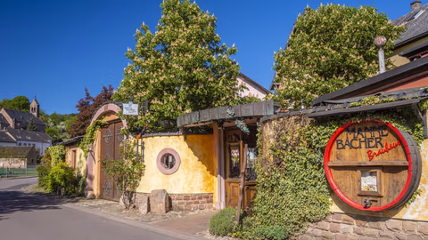 Mannebacher Landhotel — foto 1